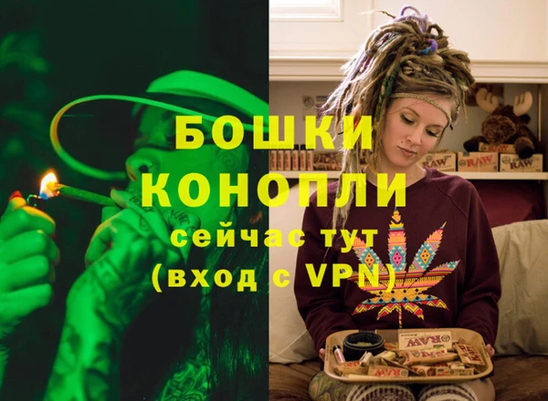 стафф Новозыбков