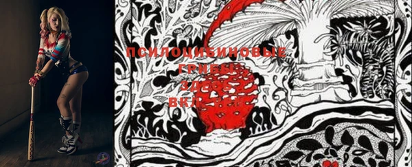 PSILOCYBIN Елизово