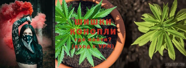 твердый Нея