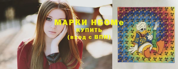стафф Новозыбков