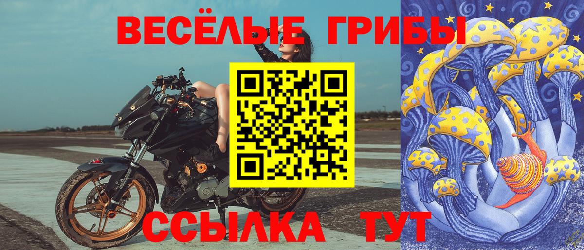 Радужный  Псилоцибиновые грибы Cubensis  Вход с VPN 