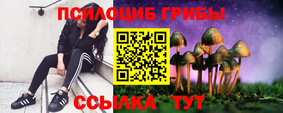 Псилоцибиновые грибы GOLDEN TEACHER Радужный