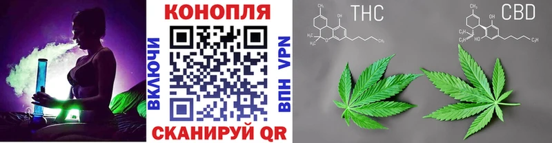 Канабис планчик  kraken ссылки  Радужный 